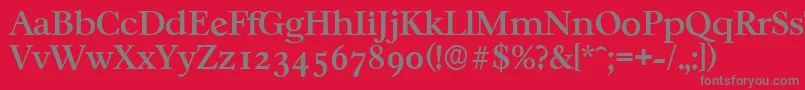 CasablancaserialMediumRegular Font – Gray Fonts on Red Background