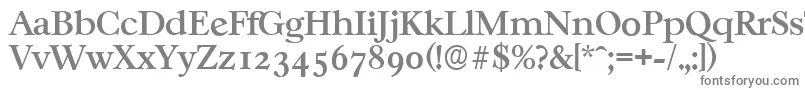 Шрифт CasablancaserialMediumRegular – серые шрифты