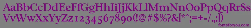 CasablancaserialMediumRegular-Schriftart – Violette Schriften auf grauem Hintergrund