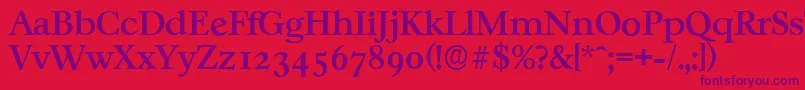 Шрифт CasablancaserialMediumRegular – фиолетовые шрифты на красном фоне