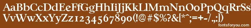 CasablancaserialMediumRegular Font – White Fonts on Brown Background