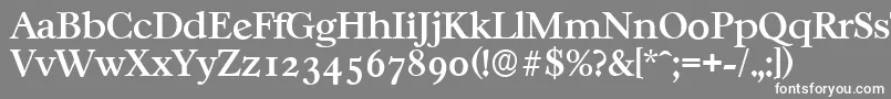 CasablancaserialMediumRegular-fontti – valkoiset fontit harmaalla taustalla