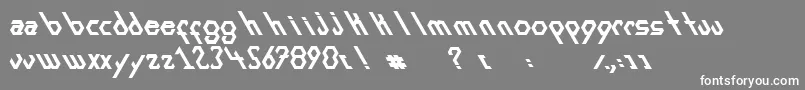 ExansBold Font – White Fonts on Gray Background