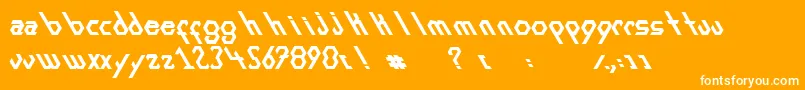 ExansBold Font – White Fonts on Orange Background