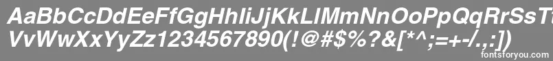 AglettericacBolditalic Font – White Fonts on Gray Background
