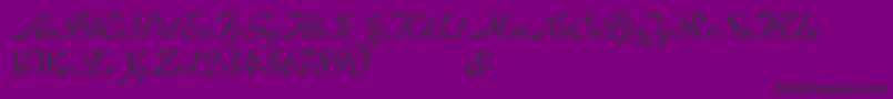 Шрифт RoundhandFree – чёрные шрифты на фиолетовом фоне