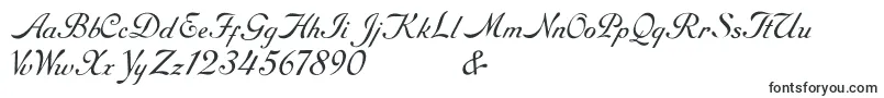 Шрифт RoundhandFree – шрифты, начинающиеся на R