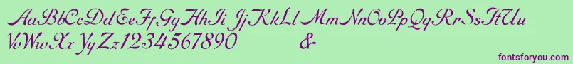 RoundhandFree-Schriftart – Violette Schriften auf grünem Hintergrund