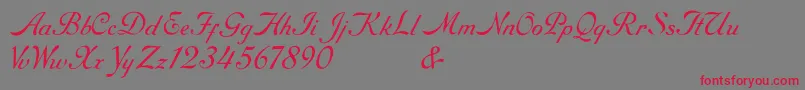 RoundhandFree-Schriftart – Rote Schriften auf grauem Hintergrund