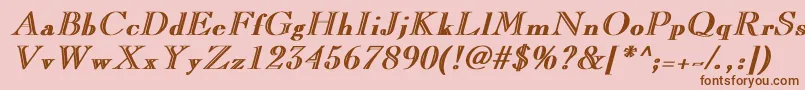 CaslonopenfaceBoldItalic Font – Brown Fonts on Pink Background