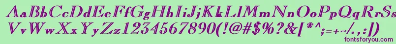 CaslonopenfaceBoldItalic Font – Purple Fonts on Green Background