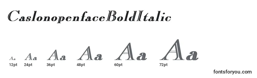 Размеры шрифта CaslonopenfaceBoldItalic