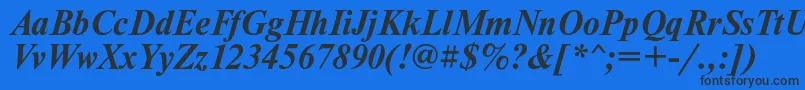 NewtoncBolditalic Font – Black Fonts on Blue Background
