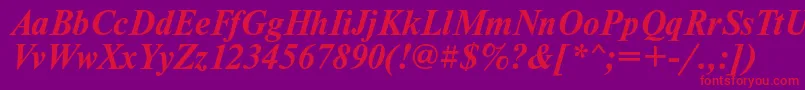 NewtoncBolditalic Font – Red Fonts on Purple Background