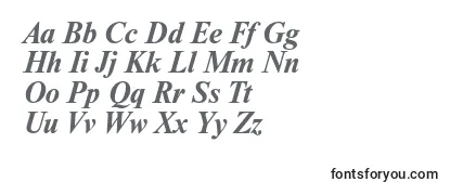 NewtoncBolditalic Font