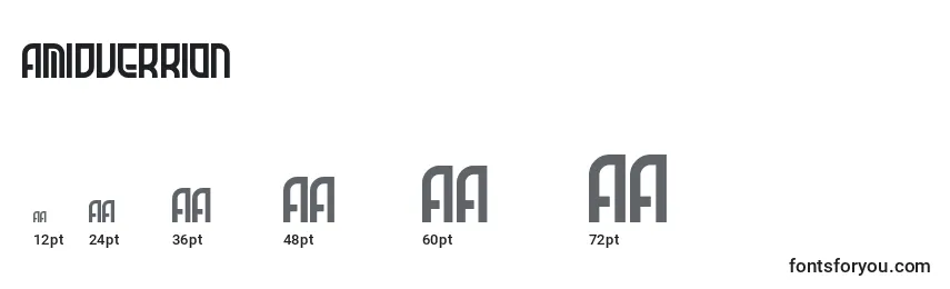 AmidVerrion Font Sizes