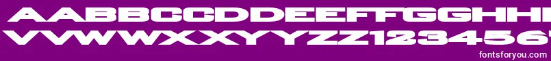 PlainOMatic Font – White Fonts on Purple Background