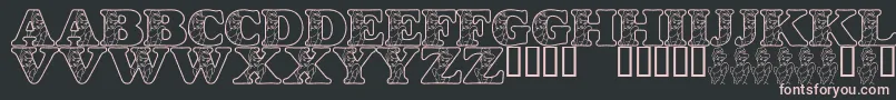 LmsHappilyEverAfter Font – Pink Fonts on Black Background