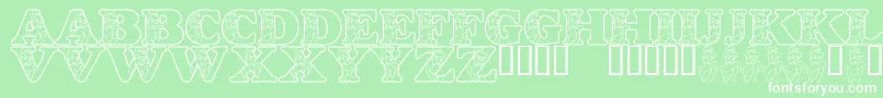 LmsHappilyEverAfter Font – White Fonts on Green Background