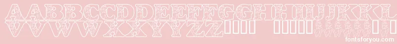 LmsHappilyEverAfter Font – White Fonts on Pink Background