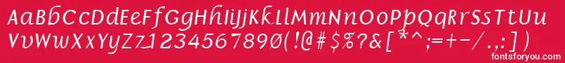 BorzoiBoldItalic Font – White Fonts on Red Background