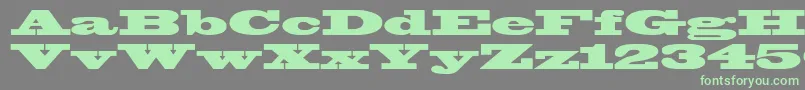 Blackoak-Schriftart – Grüne Schriften auf grauem Hintergrund