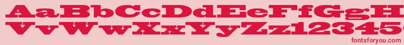 Blackoak Font – Red Fonts on Pink Background