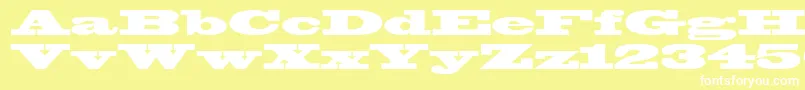 Blackoak Font – White Fonts on Yellow Background