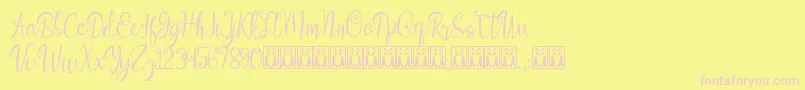 Aleidita Font – Pink Fonts on Yellow Background