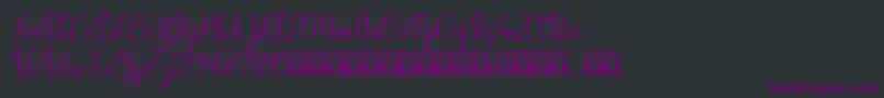 Aleidita Font – Purple Fonts on Black Background