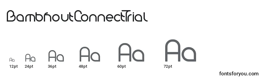 BambhoutConnectTrial Font Sizes