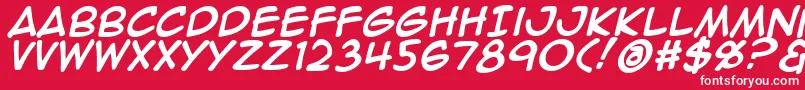 Animeace2Bld Font – White Fonts on Red Background