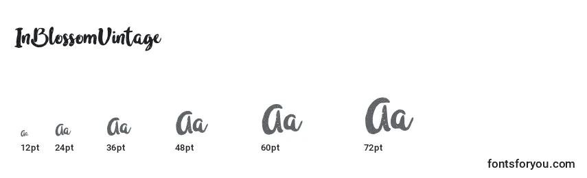 InBlossomVintage Font Sizes