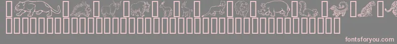 GeWildKingdomPToZ Font – Pink Fonts on Gray Background