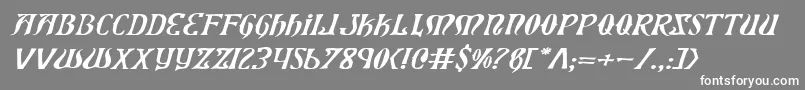 XiphosExpandedItalic Font – White Fonts on Gray Background