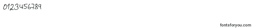 SameMistakeKopie Font – Fonts for Numbers and Digits