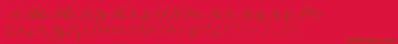 Police HisteriaScriptDemo – polices brunes sur fond rouge