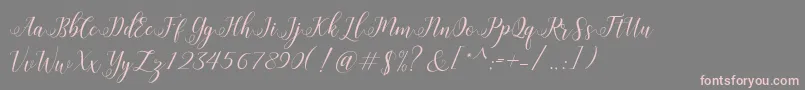 HisteriaScriptDemo Font – Pink Fonts on Gray Background