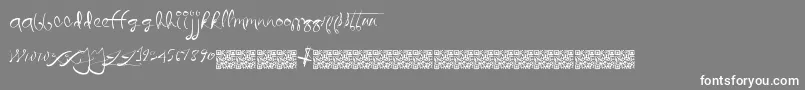 Quicklywrite Font – White Fonts on Gray Background