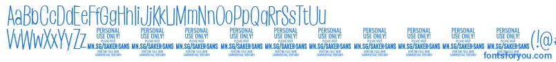 SakersanslightPersonalUse Font – Blue Fonts