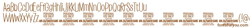 SakersanslightPersonalUse Font – Brown Fonts on White Background