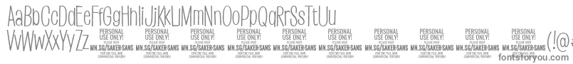 SakersanslightPersonalUse Font – Gray Fonts