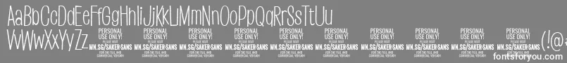 SakersanslightPersonalUse Font – White Fonts on Gray Background