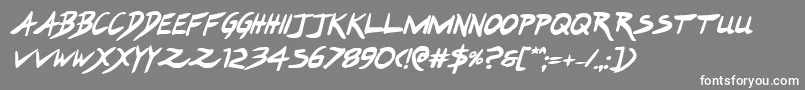 Hakturusboldital Font – White Fonts on Gray Background