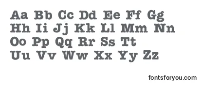 Обзор шрифта TypewritercBold