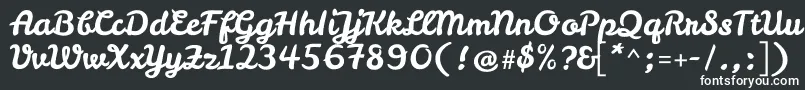 フォントLeckerlioneRegular – 黒い背景に白い文字