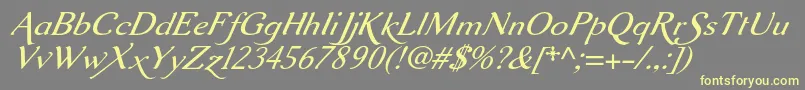 Aurelisadfscriptno2stdItalic Font – Yellow Fonts on Gray Background