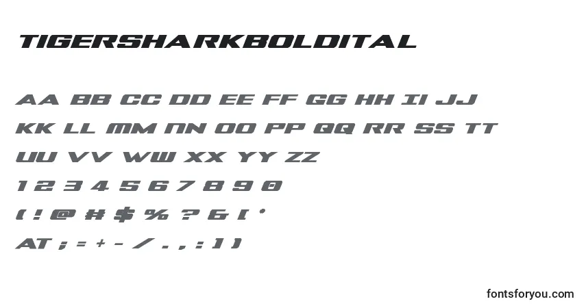Шрифт Tigersharkboldital – алфавит, цифры, специальные символы