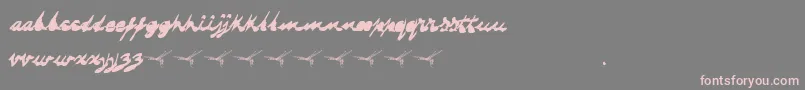 フォントDragonflysaji – 灰色の背景にピンクのフォント