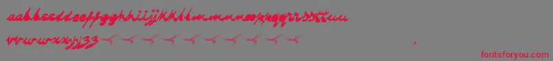 フォントDragonflysaji – 赤い文字の灰色の背景